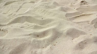 Martinique egzotik tatil deniz ve okyanus arasında