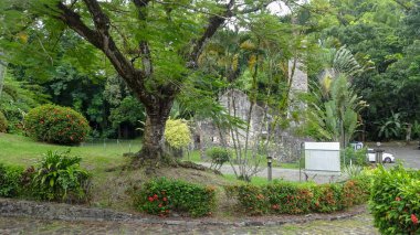 Martinique egzotik tatil deniz ve okyanus arasında