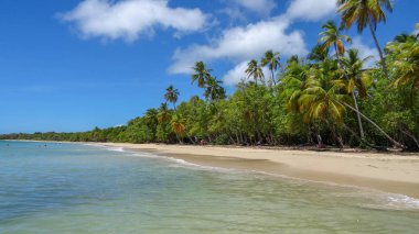 Martinique egzotik tatil deniz ve okyanus arasında