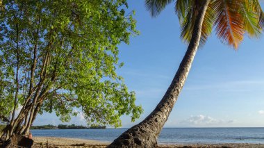 Martinique egzotik tatil deniz ve okyanus arasında