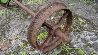 Martinique egzotik tatil deniz ve okyanus arasında