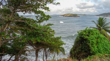 Martinique egzotik tatil deniz ve okyanus arasında