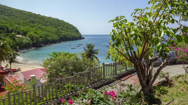 Vacanze Esotiche Martinica Tra Mare Oceano — Foto Stock