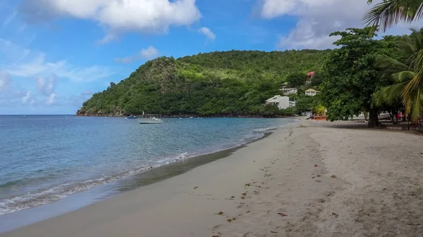 Martinique Egzotik Tatil Deniz Okyanus Arasında — Stok fotoğraf