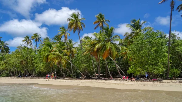 Exotické Dovolené Martiniku Mezi Mořem Oceán — Stock fotografie