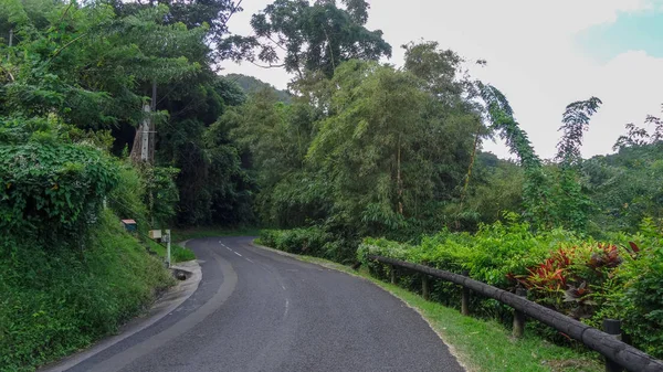 Exotische Ferien Martinique Zwischen Meer Und Ozean — Stockfoto