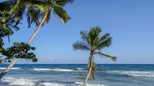 Férias Exóticas Martinica Entre Mar Oceano — Fotografia de Stock