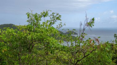 Martinique egzotik tatil deniz ve okyanus arasında