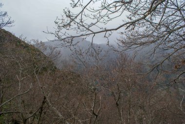 Rahibeler Vadisi: ada Madeira niteliği şaşırtıcı