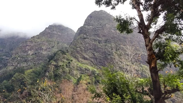 Valle Las Monjas Increíble Naturaleza Isla Madeira — Foto de Stock