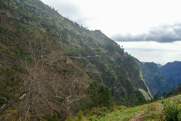 Valle Las Monjas Increíble Naturaleza Isla Madeira — Foto de Stock