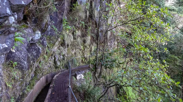 Levada Furada Vai Ribeiro Frio Portela Pr11 Madeira Ilha Portugal — Fotografia de Stock