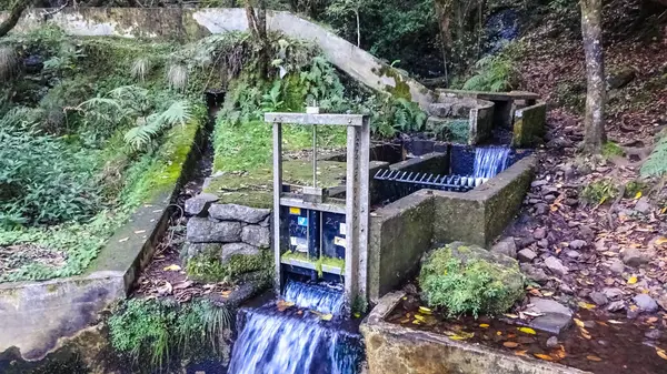 Levada Furada Jedzie Ribeiro Frio Porteli Pr11 Maderze Wyspie Portugalia — Zdjęcie stockowe