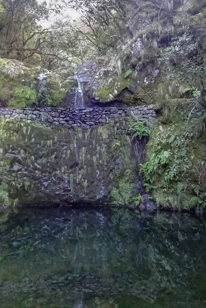 Levada Furada Ribeiro Frio Portela Pr11 Madeira Portogallo — Foto Stock