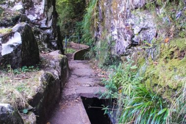 Levada do Furada, Ribeiro Frio 'dan Portela' ya gidiyor. Madeira, Portekiz 'de Pr11