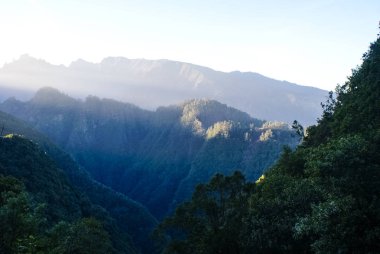 Levada do Furada, Ribeiro Frio 'dan Portela' ya gidiyor. Madeira, Portekiz 'de Pr11