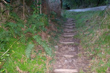 Levada do Furada, Ribeiro Frio 'dan Portela' ya gidiyor. Madeira, Portekiz 'de Pr11