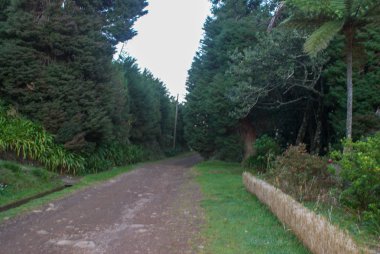Levada do Furada, Ribeiro Frio 'dan Portela' ya gidiyor. Madeira, Portekiz 'de Pr11