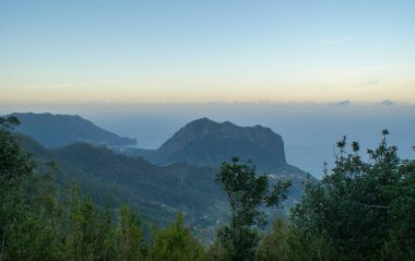 Levada do Furada, Ribeiro Frio 'dan Portela' ya gidiyor. Madeira, Portekiz 'de Pr11