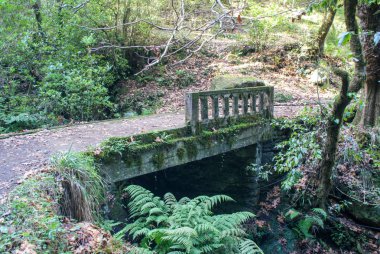 Levada tarafından Balcoes gider Vereda, bu nereye otomatik gidebiliriz Madeira kolay ve güzel bir şekilde yer alır