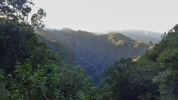 Levada Furada Goes Ribeiro Frio Portela Pr11 Madeira Portugal Island — 스톡 사진