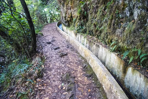 Levada Furada Vai Ribeiro Frio Portela Pr11 Madeira Ilha Portugal — Fotografia de Stock