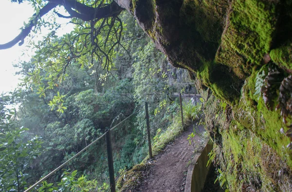 Levada Furada Vai Ribeiro Frio Portela Pr11 Madeira Ilha Portugal — Fotografia de Stock