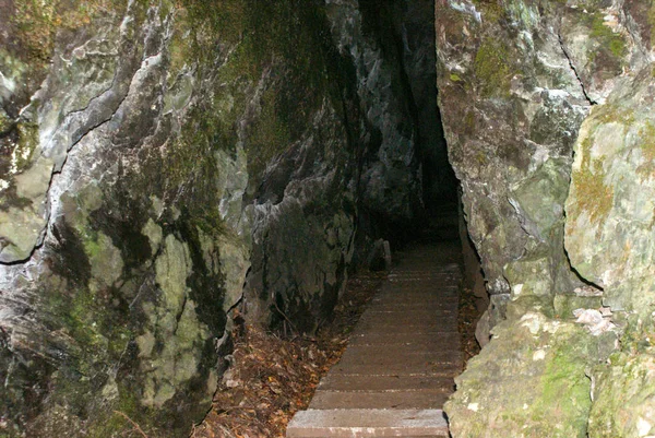 Levada Furada Ribeiro Frio Dan Portela Gidiyor Madeira Portekiz Pr11 — Stok fotoğraf