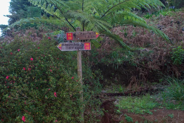 Levada Furada Ribeiro Frio Portela Pr11 Madeira Isla Portugal — Foto de Stock