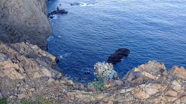 Cabo Sao Lorenco Jest Jednym Najpiękniejszych Przylądkami Madeira Portugalia Wschód — Zdjęcie stockowe