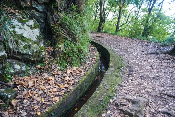 Vereda Dos Balcoes Geht Durch Levada Ist Einfach Und Schön — Stockfoto