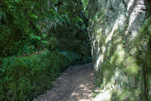 Vereda dos balcoes auf madeira, portugal — Stockfoto