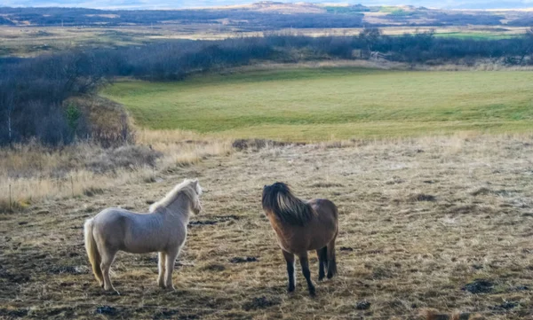 IJsland en verbazingwekkende IJslandse natuur en landschappen — Stockfoto