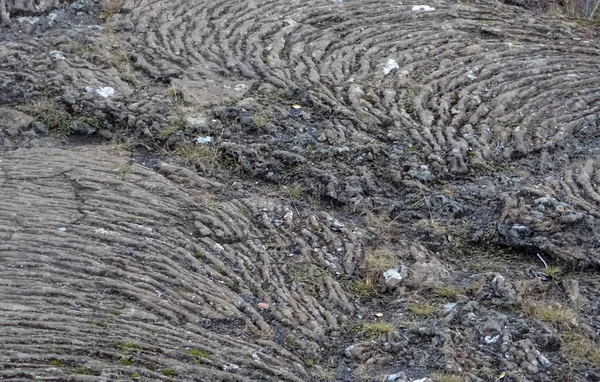 Island og fantastisk icelandic natur og landskaber - Stock-foto