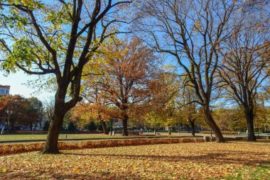 Riga Letonya başkentidir. Güzel bir şehir