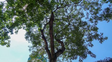 Guayaquil, Güney Amerika'nın Ekvador şehrinde yer alan şehirdir.