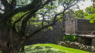 Güzel Colonia del Sacramento, Uruguay