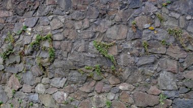 Güzel Colonia del Sacramento, Uruguay