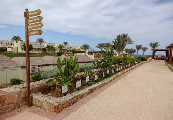 Marsa Alam es un increíble centro de buceo en Egipto — Foto de Stock