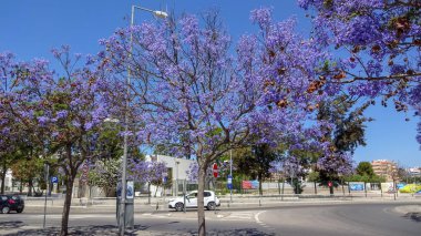 Lagos Algarve kıyısında inanılmaz bir tatil, Portekiz, Kayalar ve plajlar