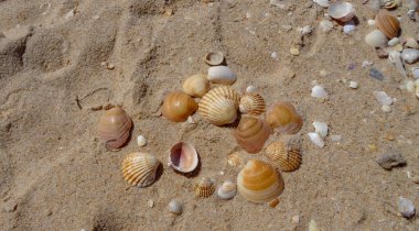 Portekiz'in güneyinde Faro şehir ve doğal park Ria Formosa