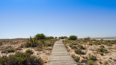 Portekiz'in güneyinde Faro şehir ve doğal park Ria Formosa