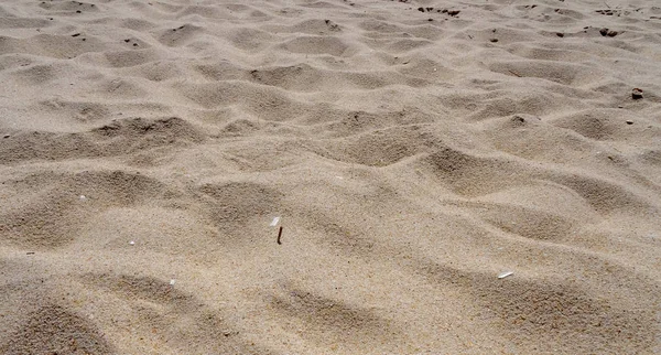 Faro város és természeti Park Ria Formosa, a Dél-Portugália — Stock Fotó