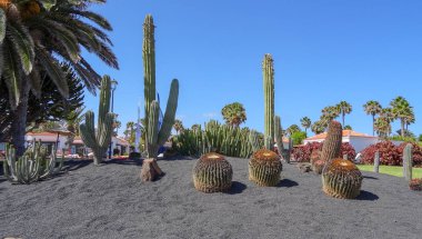 Caleta-de-Fuste, Fuerteventura adası, Canarias, İspanya'da rahat bir plaj tesisidir.