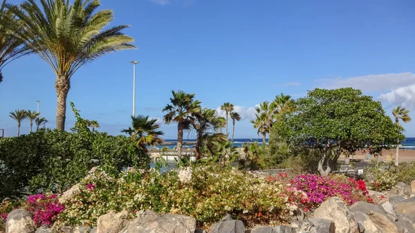 Калета-де-Фусте-затишний пляжний курорт на острові Фуертевентура, Canarias справі про, Іспанія — стокове фото