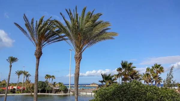 Калета-де-Фусте-затишний пляжний курорт на острові Фуертевентура, Canarias справі про, Іспанія — стокове фото