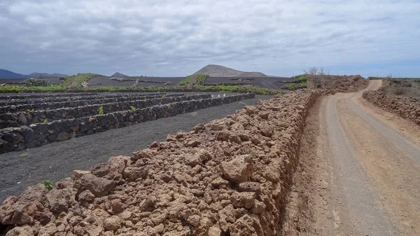 Park Timinfaya a csodálatos vulkanikus hely Lanzarote, Canarias. — Stock Fotó