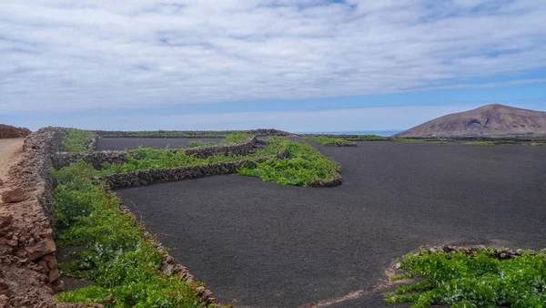 Parque Timinfaya é incrível lugar vulcânico em Lanzarote, Canarias . — Fotografia de Stock