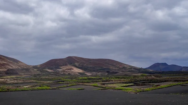 Parque Timinfaya é incrível lugar vulcânico em Lanzarote, Canarias . — Fotografia de Stock