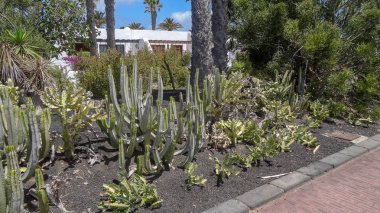 Playa Blanca, Lanzarote'nin kuzeyinde, Montana Roja yanardağının yakınında popüler bir tesistir..